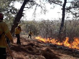 Los combatienes realizan la apertura de una brecha cortafuego par encerrar el incendio y lograr su control. TWITTER / @SemadetJal