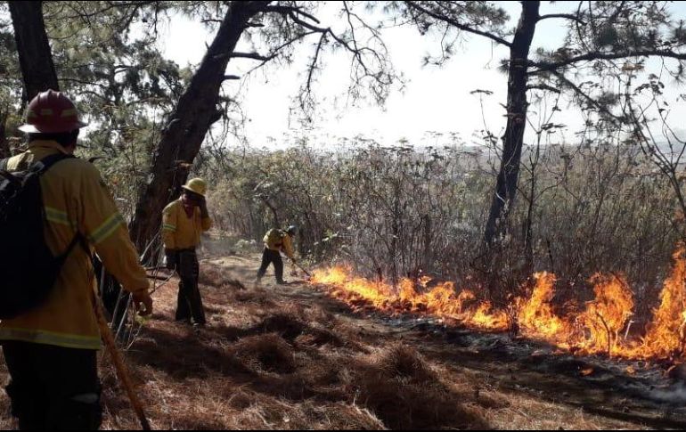 Los combatienes realizan la apertura de una brecha cortafuego par encerrar el incendio y lograr su control. TWITTER / @SemadetJal