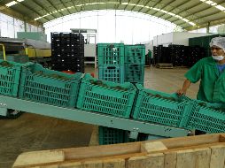 Dadas las condiciones actuales del mercado, el financiamiento bursátil mantiene una fuerte caída en los primeros cinco meses del año respecto a igual periodo de 2018. EFE/ ARCHIVO