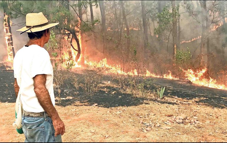 Un total de dos mil 270 combatientes trabajan en el combate de las llamas. SUN
