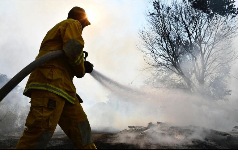 Bomberos municipales informan que por las dimensiones del incendio no se encontró riesgo de propagación ni se requirió el apoyo de su dependencia. EL INFORMADOR/ ARCHIVO