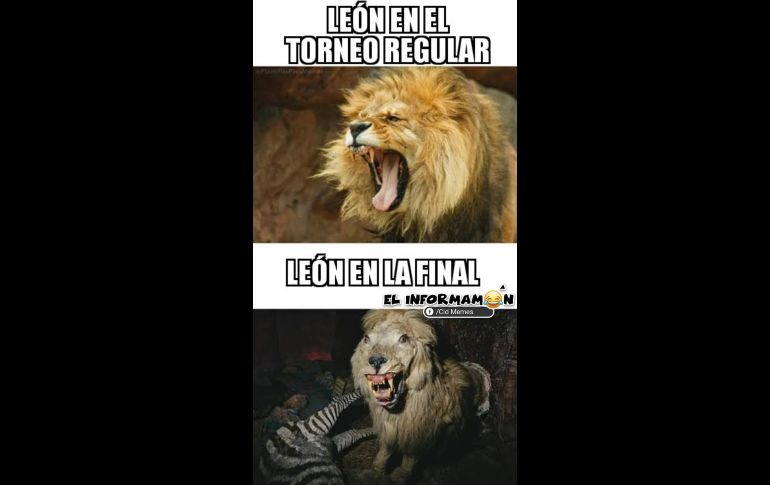 Las redes rugen con memes de Tigres campeón