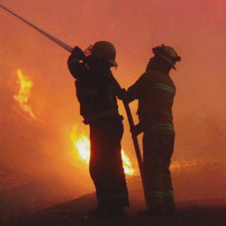 Provocan cuatro de cada 10 incendios en La Primavera