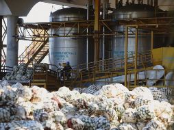 Al cierre de 2018, Brasil importó 689 mil 371 litros de tequila. EL INFORMADOR/Archivo