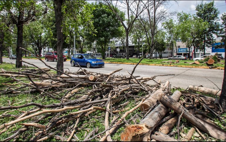 Los trabajos rentados son adicionales a los que corresponden a la Dirección de Parques y Jardines. EL INFORMADOR/ARCHIVO