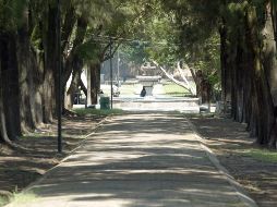 El proyecto busca mejorar el equipamiento de áreas verdes para bajar dos grados de temperatura. EL INFORMADOR/ARCHIVO