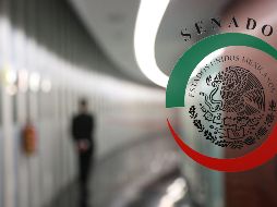 La senadora recibió un 