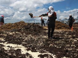 Se indicó que continuarán las jornadas de limpieza voluntaria en las playas públicas, denominadas 