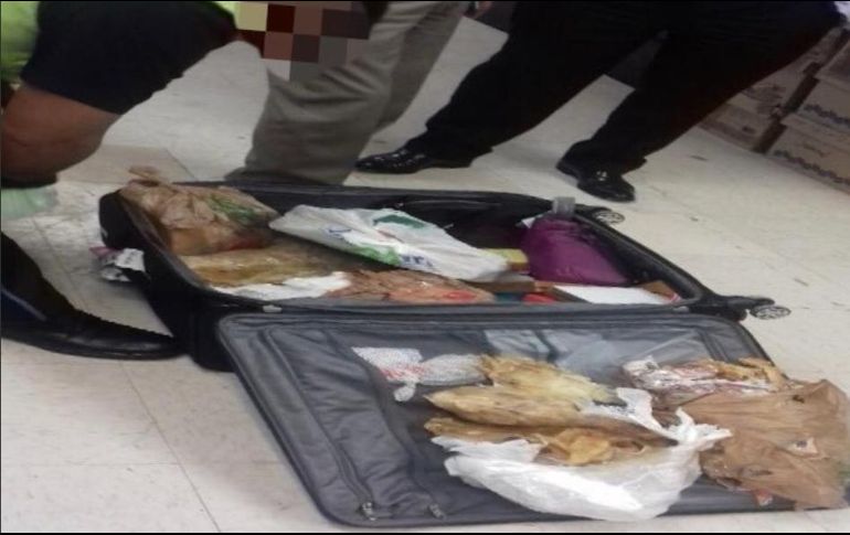 La mujer fue detenida al no contar con documentación o algún elemento que acreditara la legal procedencia de la totoaba. ESPECIAL/FGR