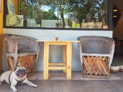 Terrazas. Muchos recintos con espacios abiertos permiten que tu mascota también disfrute del espacio y se tome un descanso del paseo. EL INFORMADOR / F. González