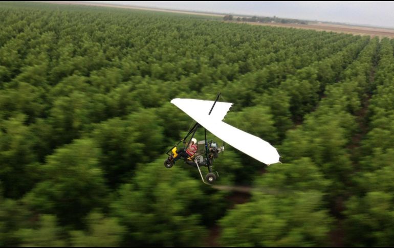 Samsung C&T, Uralkali, K+S y Eurochem aprovechan el abandono de la industria. NOTIMEX/Archivo