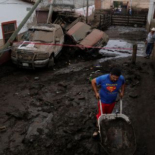 Autoridades federales, omisas sobre tala clandestina: Alfaro