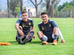 La reestructuración de la plantilla melenuda ha dado mucho de qué hablar. TWITTER / @LeonesNegrosCF