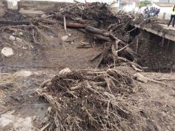 Actualemente 208 dependencias trabajan en conjunto. EL INFORMADOR / F. Monclova