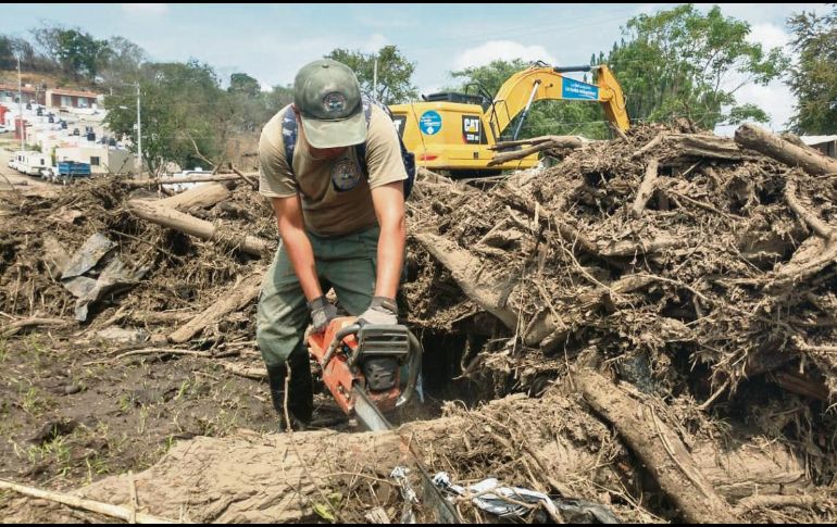La tragedia de San Gabriel presuntamente ocurrió por tala clandestina para habilitar huertas de aguacate. ESPECIAL