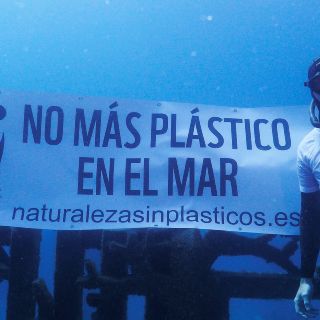 Mueren 100 mil especies marinas cada año por plástico, dice la CNDH