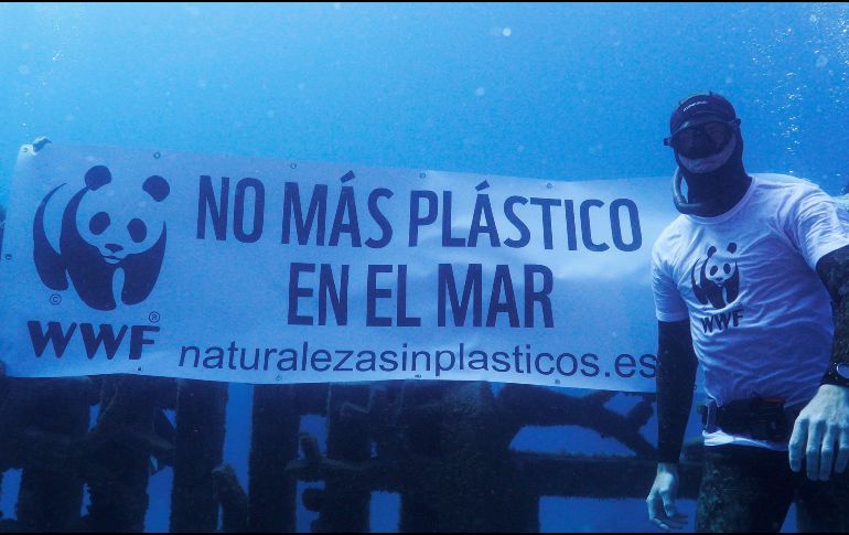 La CNDH hace énfasis en la necesidad de actualizar la Política Nacional de Mares y Costas de México para diseñar e implementar mecanismos que ayuden a cuidar los ecosistemas marinos y costeros. EFE/ ESPECIAL