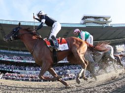 Mark Casse consiguió dos terceras partes de la Triple Corona. AP