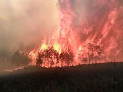 Autoridades informan que han liquidado otros tres incendios en Mascota, Talpa de Allende y Zapopan. EFE / ARCHIVO