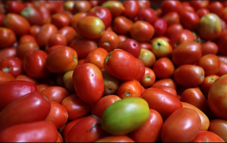 La CNPR sostiene que esa situación genera millonarias pérdidas para los productores que es superior a 350 millones de dólares para los exportadores mexicanos. NTX / ARCHIVO