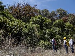 + Informador: Las noticias del 11 de junio de 2019