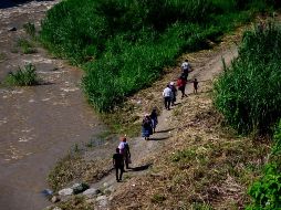 El anuncio oficial, sobre los aumentos, lo tendrá que dar el presidente Andrés Manuel López Obrador o la Secretaría de Hacienda. EL INFORMADOR / ARCHIVO