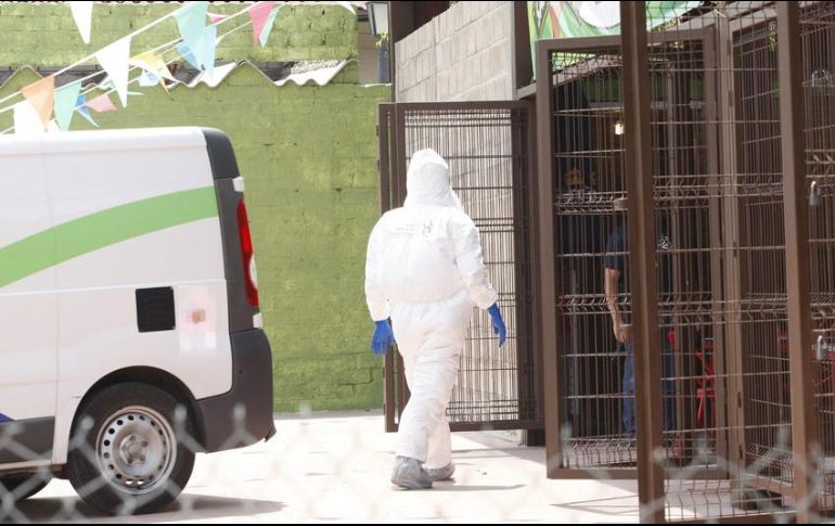 La víctima es identificada como María Inés de 34 años de edad, originaria de San Felipe, Hidalgo. EL INFORMADOR / ARCHIVO