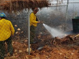 La conflagración consumió poco más de una hectárea de superficie de hojarasca. ESPECIAL