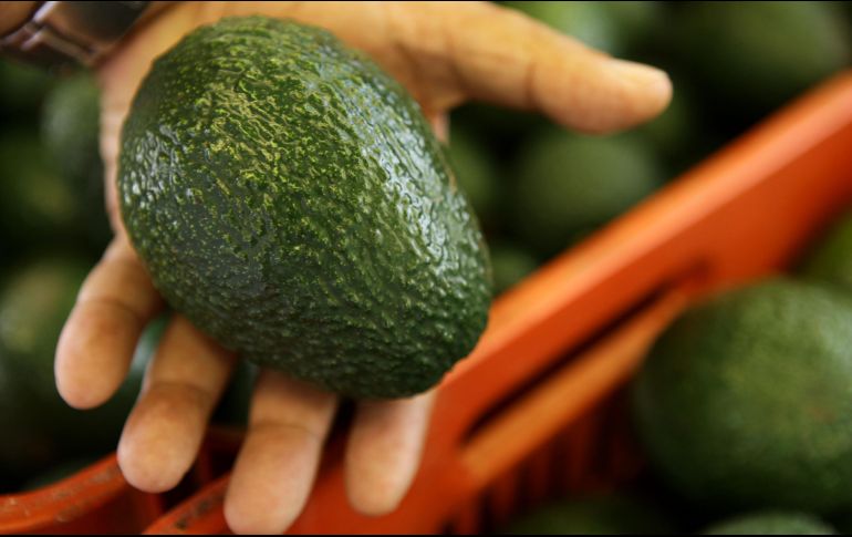 Ahora, el sujeto de 47 años enfrenta cargos de robo agravado, luego de hurtar con éxito una cantidad cercana lo que en moneda mexicana serían 150 mil pesos. EL INFORMADOR / ARCHIVO