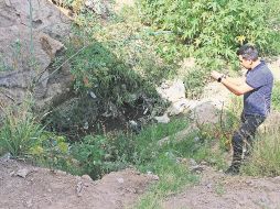  La presencia de los mosquitos en el lugar  implica el potencial desarrollo de un brote de dengue. EL INFORMADOR/E. Barrera