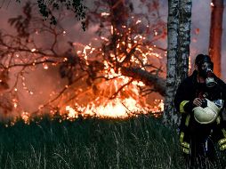 Del total de áreas afectadas, un 95 por ciento corresponden a pastos, arbustos y matorrales mientras que el resto son de arbolado adulto. EFE / ARCHIVO