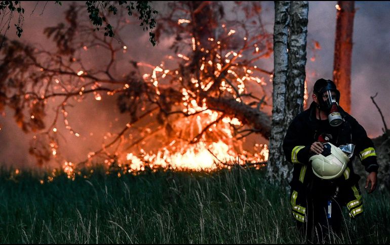 Del total de áreas afectadas, un 95 por ciento corresponden a pastos, arbustos y matorrales mientras que el resto son de arbolado adulto. EFE / ARCHIVO