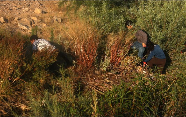 Las fuerzas de seguridad se acercan a los migrantes para hacerles la invitación a que se retiren del lugar, y en algunas ocasiones suelen pedir una identificación. EFE/D. Peinado