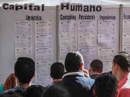 En los últimos doce meses se encuentran registrados 474 mil 838 nuevos empleos. EL INFORMADOR/ARCHIVO