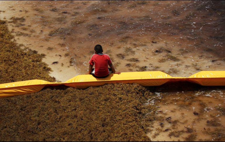 Un niño descansa sobre una barrera de contención de sargazo este martes, en playa del Carmen. EFE/J. Valdivia