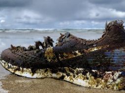 ¿De dónde vienen los zapatos? TRACEY WILLIAMS