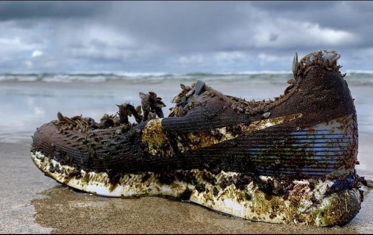 ¿De dónde vienen los zapatos? TRACEY WILLIAMS