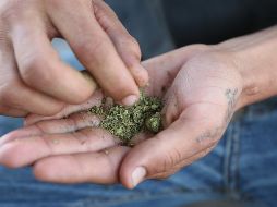 La sanción sería de 50 dólares por poseer menos de 28 gramos de marihuana o 200 dólares por hasta el doble de esa cantidad. EL INFORMADOR / ARCHIVO