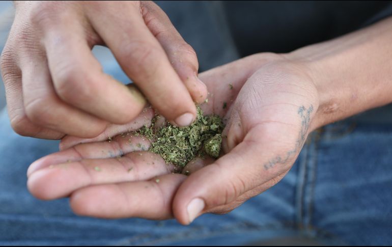 La sanción sería de 50 dólares por poseer menos de 28 gramos de marihuana o 200 dólares por hasta el doble de esa cantidad. EL INFORMADOR / ARCHIVO