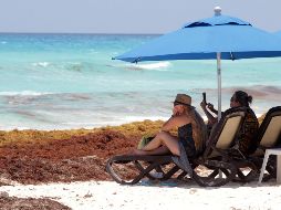 La noticia llega en un momento en que el estado de Quintana Roo atraviesa una emergencia por la llegada masiva de sargazo, la cual opaca el azul turquesa de las diferentes playas. EFE/ ARCHIVO