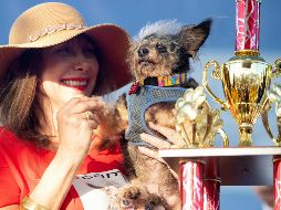 Darlene Wright sostiene cariñosamente a Scamp, el perro ganador de la edición 2019. AFP/J. Edelson