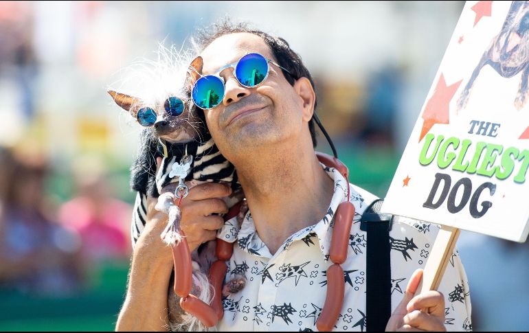 El objetivo de la competencia es crear conciencia sobre las necesidades de los perros rescatado. AFP/J. Edelson
