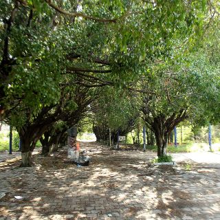 Ahora “enchulan” colonias por la zona de Huentitán