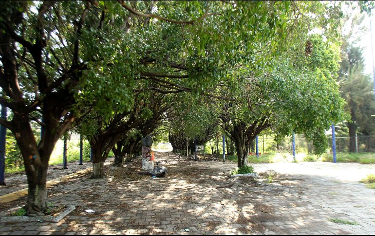 El programa #100ParquesGDL arrancó este año y ha trabajado por diversas zonas de ZMG. EL INFORMADOR