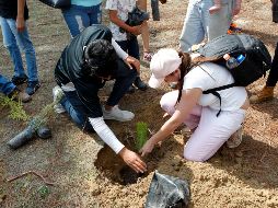 Gobierno federal plantará cien mil árboles en La Primavera