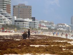 El sector hotelero en el Caribe mexicano reporta pérdidas en los primeros cinco meses del año, respecto al mismo periodo de 2018, tras una caída de la ocupación del 6% debido al sargazo, la violencia y la falta de promoción. EFE/ARCHIVO