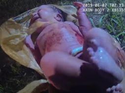 Las imágenes fueron registradas el pasado 6 de junio, día en que fue descubierta con vida la criatura. YOUTUBE/Forsyth County Sheriff’s Office