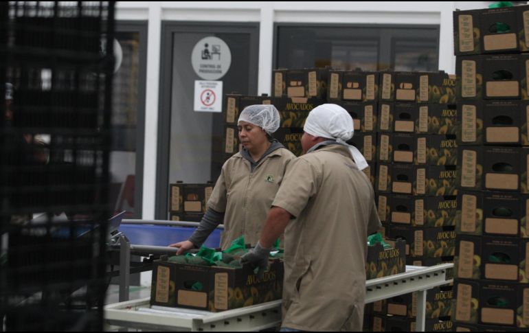 Con series ajustadas por estacionalidad, las importaciones totales mostraron una variación mensual de 1.81%. EL INFORMADOR/ ARCHIVO