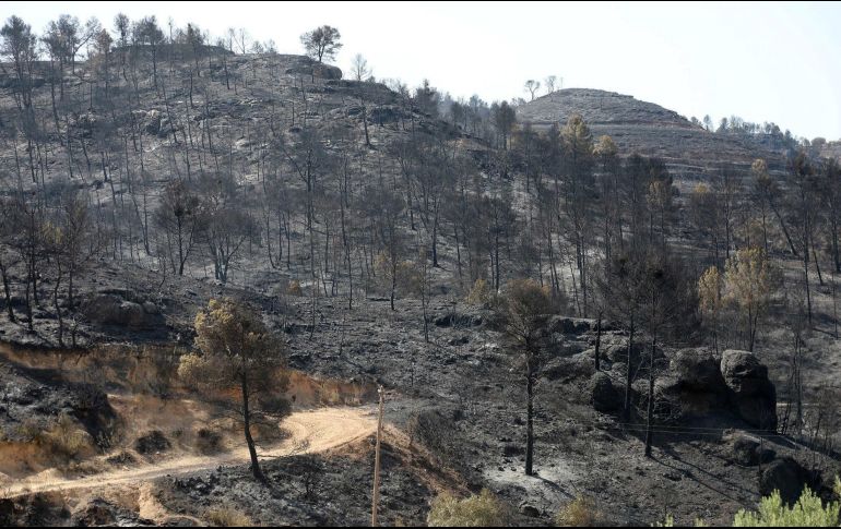 Las llamas se propagaron rápidamente por el viento y las altas temperaturas que asolan estos días el valle del Ebro. EFE/J. Sellart