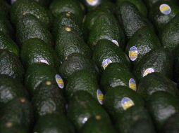En este momento hay menos aguacate para comercializar debido al fin de la temporada 2018-2019. EL INFORMADOR/Archivo